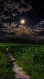 Screenshot_٢٠٢٥١٢٠٣_٠١٤٣٠١_Google.jpg Screenshot_٢٠٢٥١٢٠٣_٠١٤٣٠١_Google.jpg