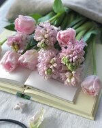 0d76767f1c3f46147958246426c7945a.jpg 0d76767f1c3f46147958246426c7945a.jpg