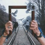 e78f2a33ae8be8ef465170f944caeb9c.jpg e78f2a33ae8be8ef465170f944caeb9c.jpg