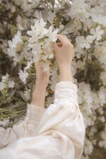 1765500067390.jpeg 1765500067390.jpeg