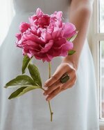 1765501281688.jpeg 1765501281688.jpeg