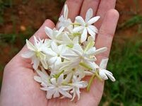 IMG_7664.jpeg IMG_7664.jpeg