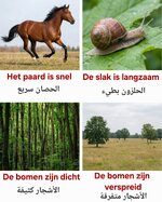 1000168256.jpg 1000168256.jpg