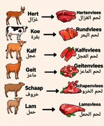 1000168258.jpg 1000168258.jpg