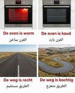 1000168261.jpg 1000168261.jpg