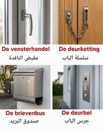 1000168264.jpg 1000168264.jpg