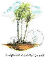 29(98).jpg 29(98).jpg