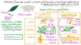 thumbnail_l.jpeg thumbnail_l.jpeg