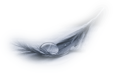 IMG_5480.png IMG_5480.png