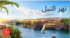 Screenshot_٢٠٢٥١٢٣٠-٠٤٤٧٠٥_Gallery.jpg Screenshot_٢٠٢٥١٢٣٠-٠٤٤٧٠٥_Gallery.jpg