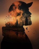 IMG_20260104_195229_432.jpg IMG_20260104_195229_432.jpg