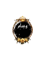 GIF_20260101_140902_649 (1).gif GIF_20260101_140902_649 (1).gif