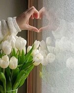 03fd4d8371f6b82ef1d8d33194c77ee1.jpg 03fd4d8371f6b82ef1d8d33194c77ee1.jpg