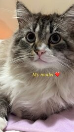 FB_IMG_1768801722005.jpg FB_IMG_1768801722005.jpg