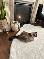 FB_IMG_1768801762493.jpg FB_IMG_1768801762493.jpg