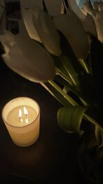 795f9bae60541fb0f9a21c88a7d2d01e.jpg 795f9bae60541fb0f9a21c88a7d2d01e.jpg