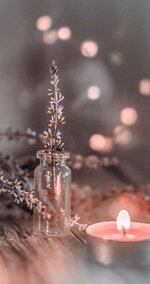 f3373bf9f358becbbf7cc403ee940adc.jpg f3373bf9f358becbbf7cc403ee940adc.jpg