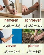 1000182315.jpg 1000182315.jpg