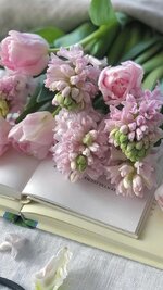 8e6fdf59a38a8fd6ccb80dd2864051ca.jpg 8e6fdf59a38a8fd6ccb80dd2864051ca.jpg