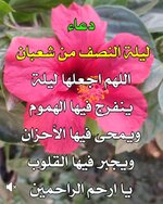 IMG_٢٠٢٦٠٢٠٣_٠١٤٩٠٨.jpg