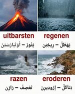 1000184343.jpg 1000184343.jpg