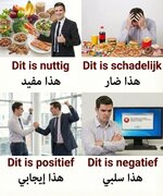 1000184729.jpg 1000184729.jpg