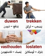 1000184736.jpg 1000184736.jpg