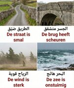 1000185914.jpg 1000185914.jpg