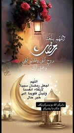 1771998138007.jpeg 1771998138007.jpeg