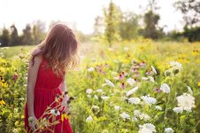 young-woman-pretty-red-summer-flowers-field-meadow-young-woman.jpg