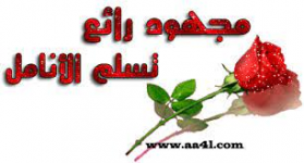 1628987439146.png