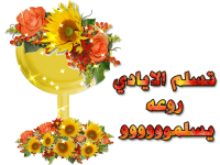 1629011451127.png