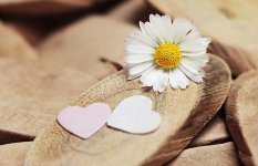daisy-heart-herzchen-thank-you-love-romantic-romance-symbol-white.jpg