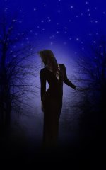 silhouette-people-dusk-moon-light-woman-trees-long-dress-black-dress.jpg