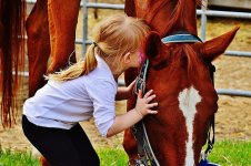 little-girl-big-horse-kiss-stroke-love-fur-hand-child-s-hand-connectedness.jpg