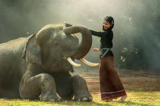 girl-africa-animals-asia-cambodia-friend-friendship-elephant-keeper-mammal.jpg