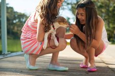 girls-dog-playing-pet-happy-happiness-leisure-kids-children.jpg