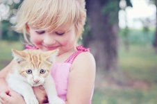 girl-kitten-pet-animal-child-cute-young-little-love.jpg