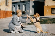 girl-dog-pet-friendship-companion-owner-caucasian-blonde-caucasian-female.jpg
