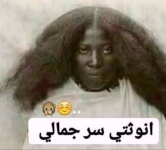 1646084736399.png