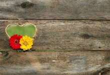 postcard-heart-flowers-board-background-valentine-texture.jpg