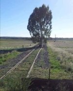 FB_IMG_1646361493861.jpg FB_IMG_1646361493861.jpg