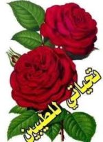 images.jpeg-١٨.jpg images.jpeg-١٨.jpg