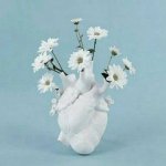 IMG-20220319-WA0009.jpg IMG-20220319-WA0009.jpg