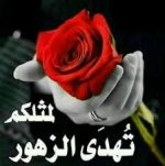 images.jpeg-١٩.jpg images.jpeg-١٩.jpg