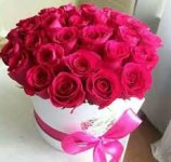 images.jpeg-٢٠.jpg images.jpeg-٢٠.jpg