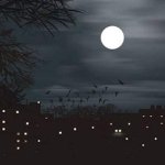 FB_IMG_1653027971283.jpg FB_IMG_1653027971283.jpg