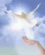 271276799_324450686208671_2703455162155679372_n.jpg 271276799_324450686208671_2703455162155679372_n.jpg