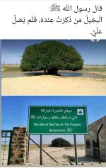 Screenshot_٢٠٢٢٠٥٣٠-٠٣١٢٣٦_Facebook.jpg Screenshot_٢٠٢٢٠٥٣٠-٠٣١٢٣٦_Facebook.jpg