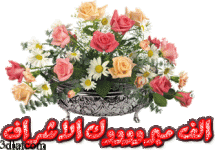 6F0EA10D-03A3-47CC-8A3D-B92492893B9C.gif 6F0EA10D-03A3-47CC-8A3D-B92492893B9C.gif